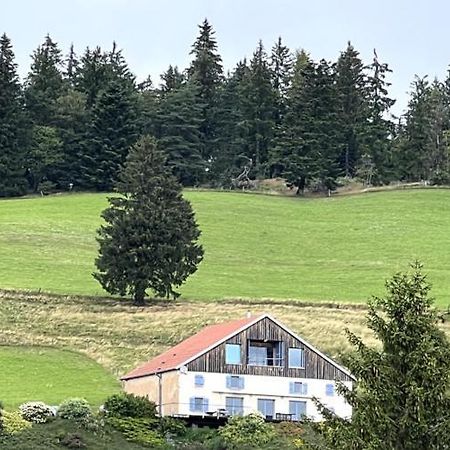 Maison D'Hotes Des Hauts De La Piquante Pierre Basse-sur-le-Rupt Экстерьер фото